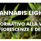 Cannabis Light: stop normativo alla vendita di inf
